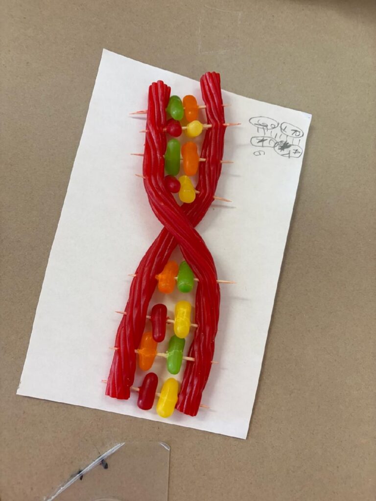 Creating DNA at TEP